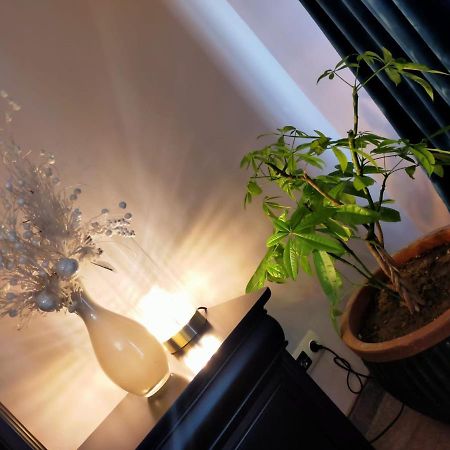 Casa Maria Roses Hotel Rîşnov Ngoại thất bức ảnh