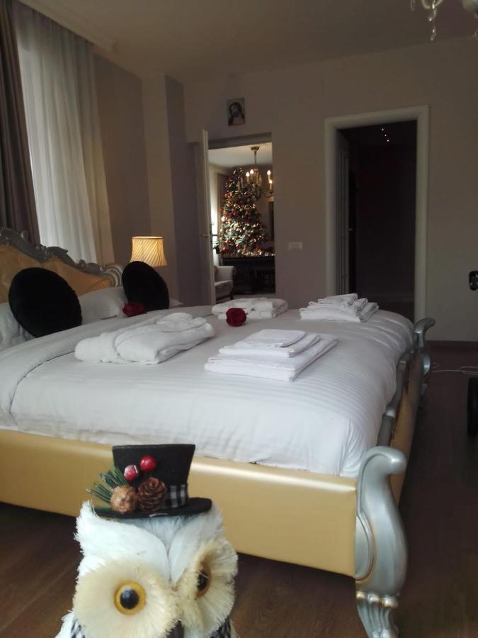 Casa Maria Roses Hotel Rîşnov Ngoại thất bức ảnh