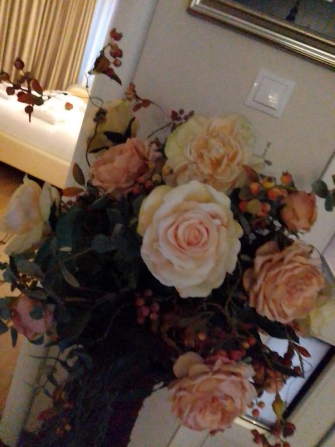 Casa Maria Roses Hotel Rîşnov Ngoại thất bức ảnh