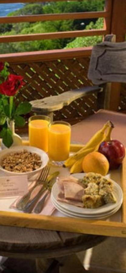 Casa Maria Roses Hotel Rîşnov Ngoại thất bức ảnh