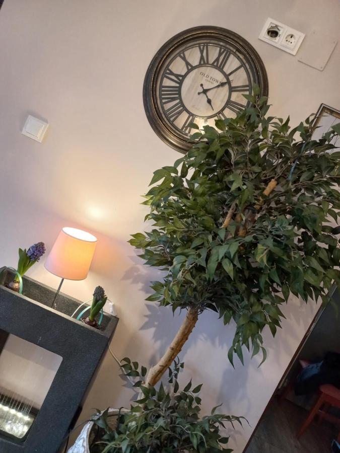 Casa Maria Roses Hotel Rîşnov Ngoại thất bức ảnh